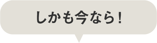 しかも今なら